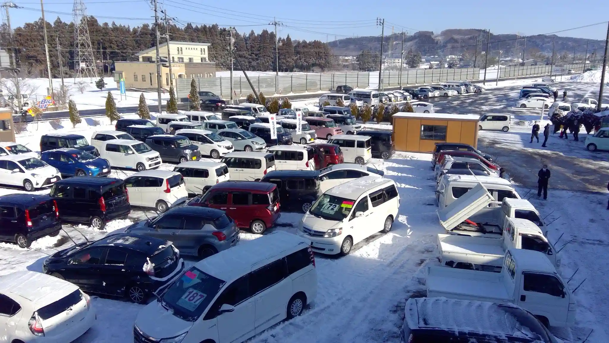 【開催終了】春期自動車展示会を開催しました！