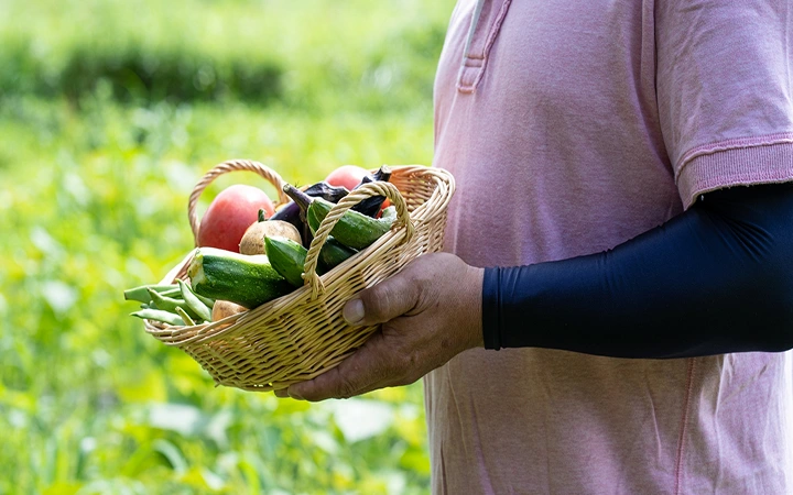 収穫した野菜をカゴに入れて持つ人